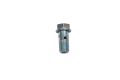 504081281