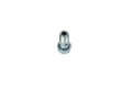 504081281