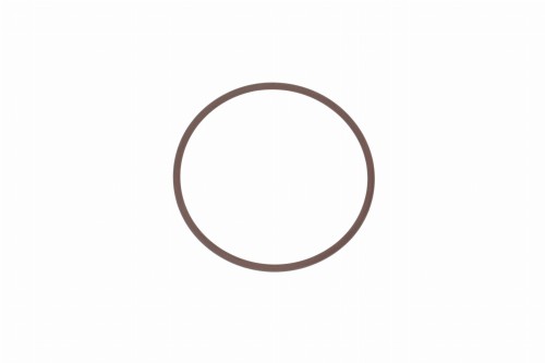 17284781 Iveco Daily o-ring napędu pompy wtryskowej ; pompy wspomagania